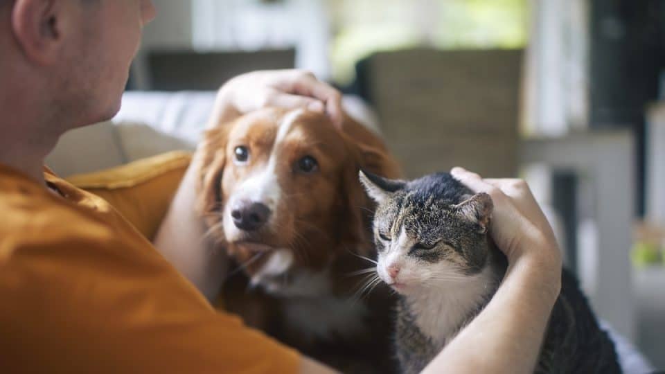 Pet Health